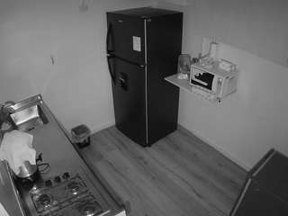 voyeurcam jb kitchen 2